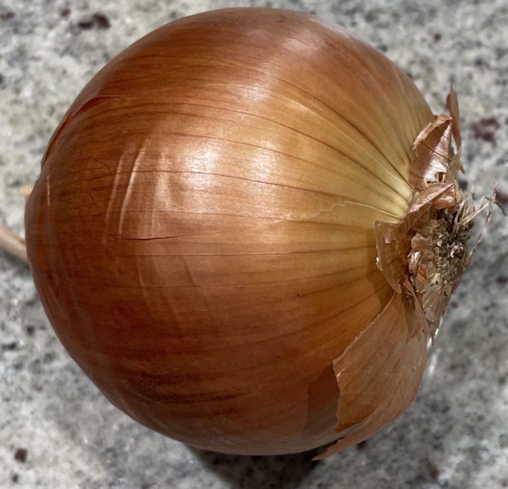 hairy onion