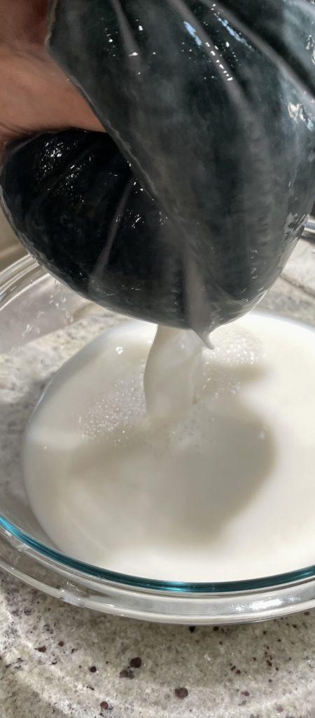oat milk filtering
