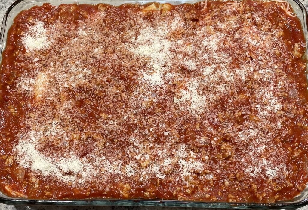 ziti layer 8