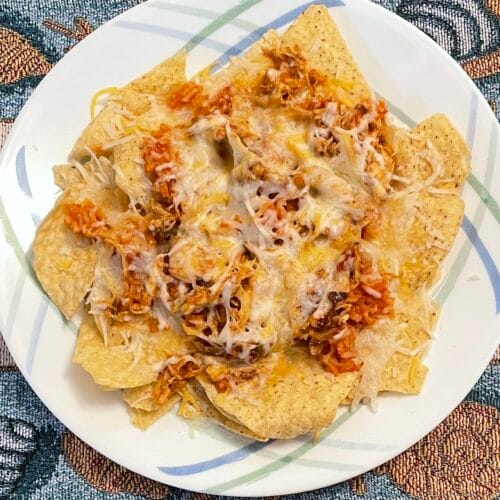 Salsa Chicken Nachos