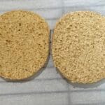 sandwich buns